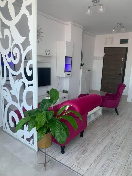 Cool Apartment Timişoara Exterior foto
